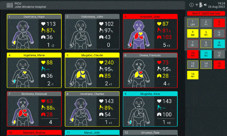 Central Patient Overview showing multiple patients
